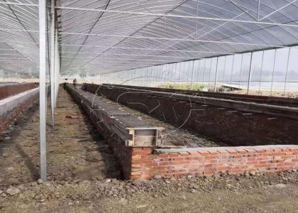 fermentation trenches of Manure Groove Composting Machine