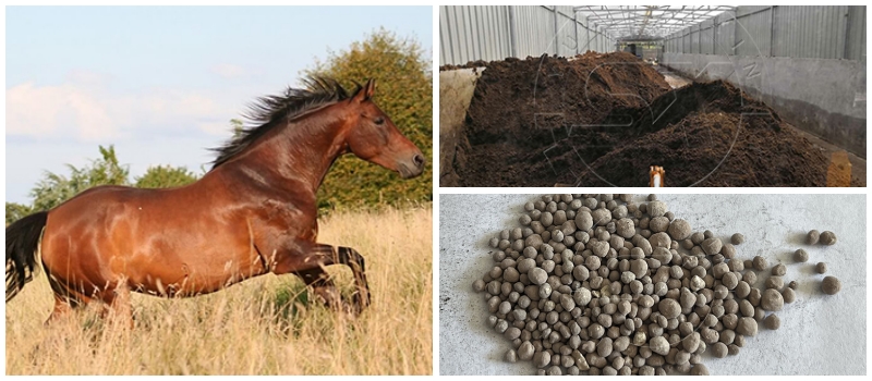 Making horse manure into organic fertilizer
