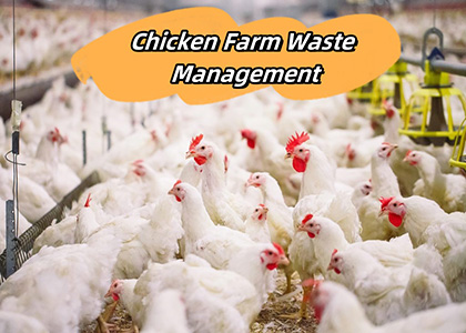 Chicken farm waste management
