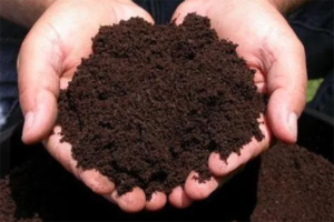 Manure to compost fertilizer